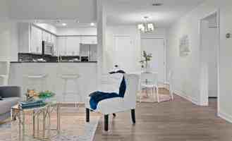 1501 Barton Springs Road #20558 - Photo 1 of 1