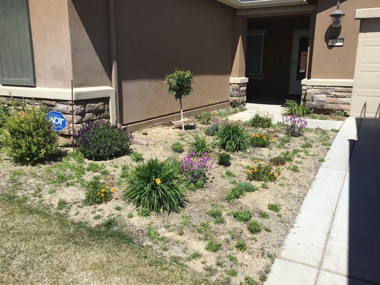 99 Rogue Rd - Photo 2 of 17