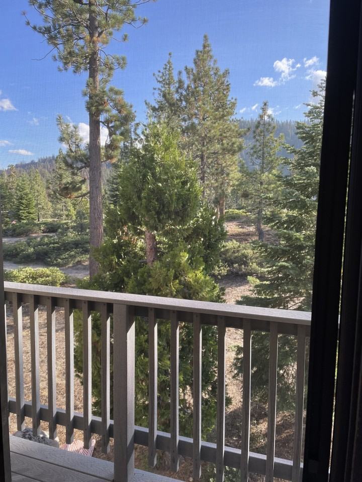 2156 Chiapa Dr #NA - Photo 3 of 24