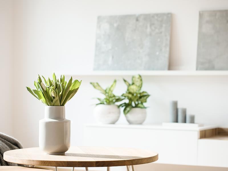 3401 Savannah Ln - Photo 3 of 3