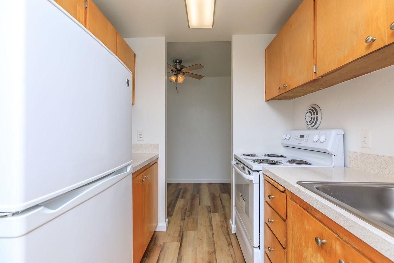 Tiki Apartments - Photo 7 of 40