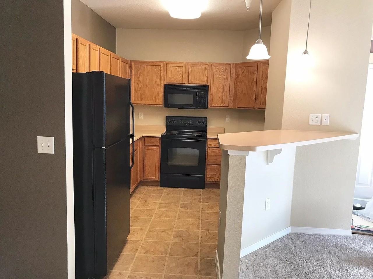 804 Summer Hawk Dr #1108 - Photo 4 of 18