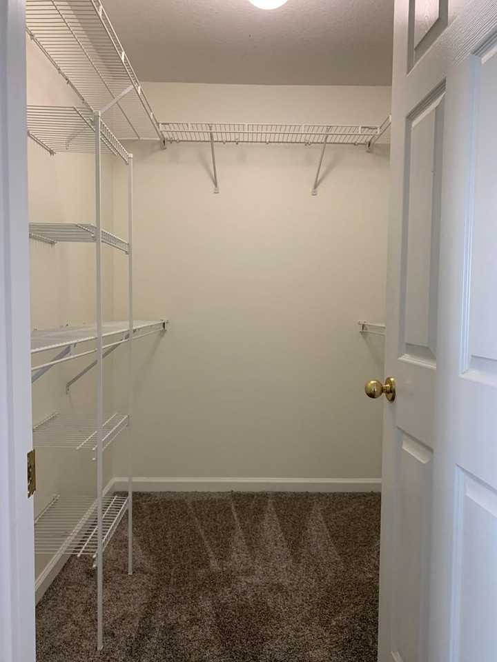 4608 Jeri Cv - Photo 5 of 19