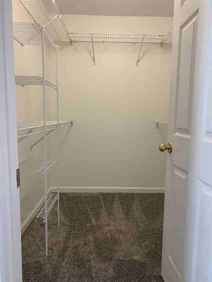 4608 Jeri Cv - Photo 6 of 19