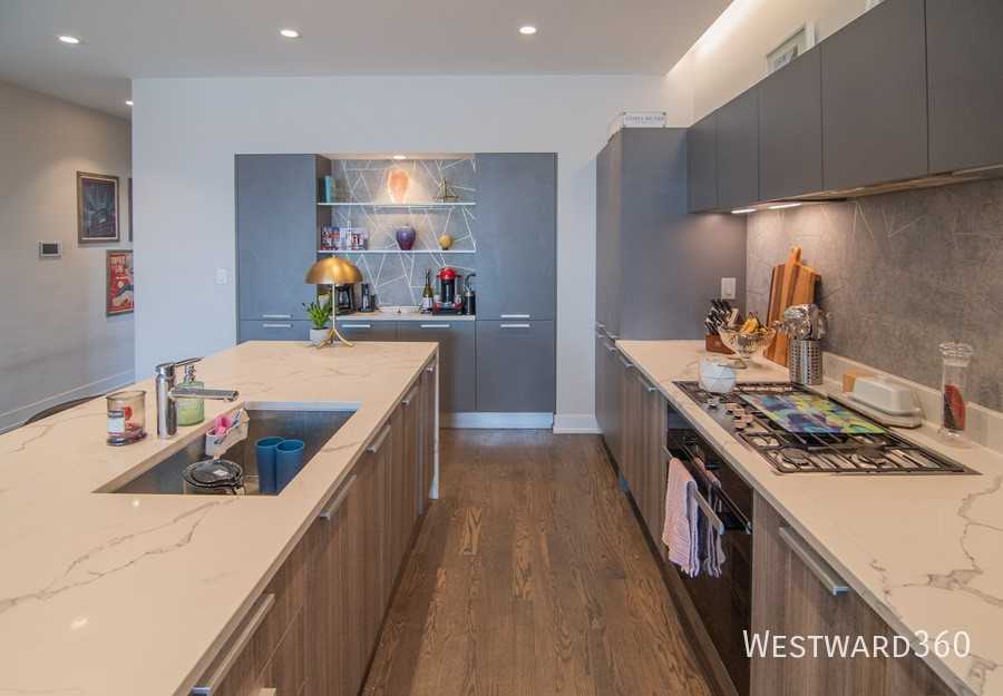 880 N Milwaukee Ave #2N - Photo 5 of 19