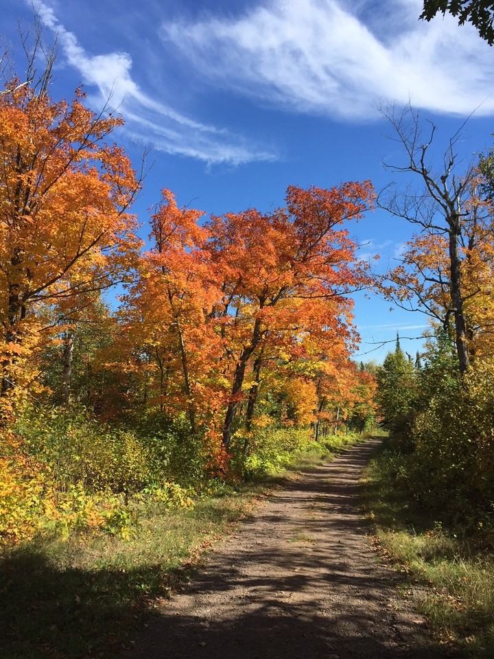 Trailside Townhomes - Photo 3 of 14