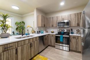 4001 Fannin St #4M1 - Photo 1 of 1