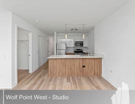 343 W Wolf Point Plz #2402 - Photo 1 of 1