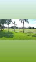 6760 N Pine Island Rd - Photo 1 of 1