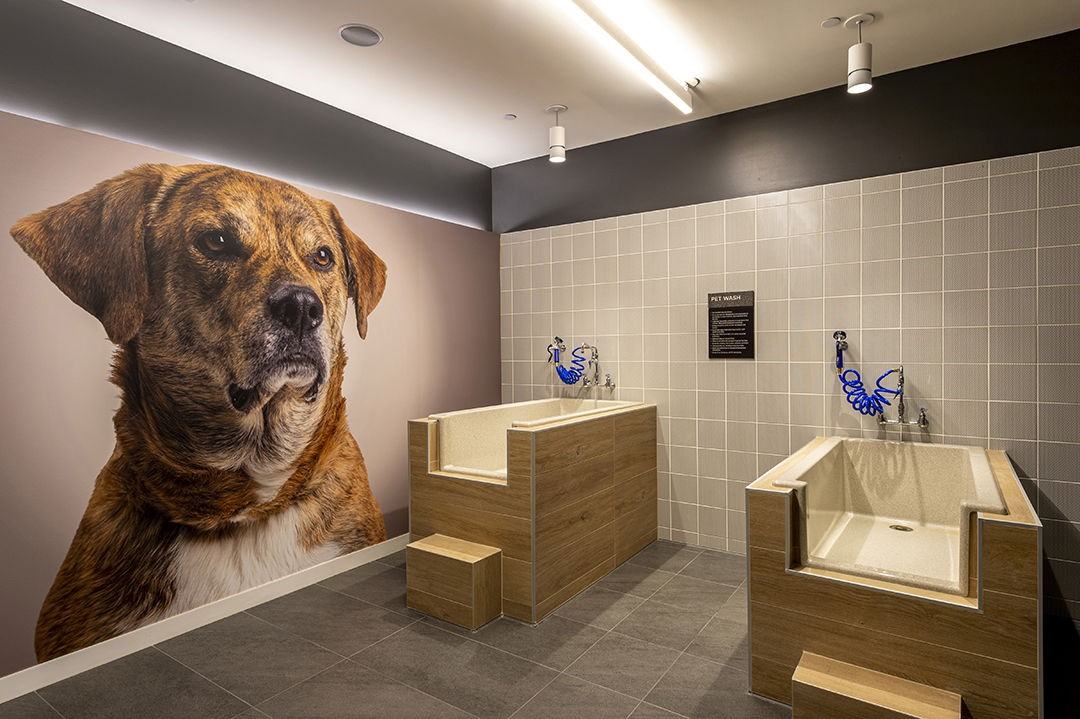 414 Milam St - Photo 5 of 8