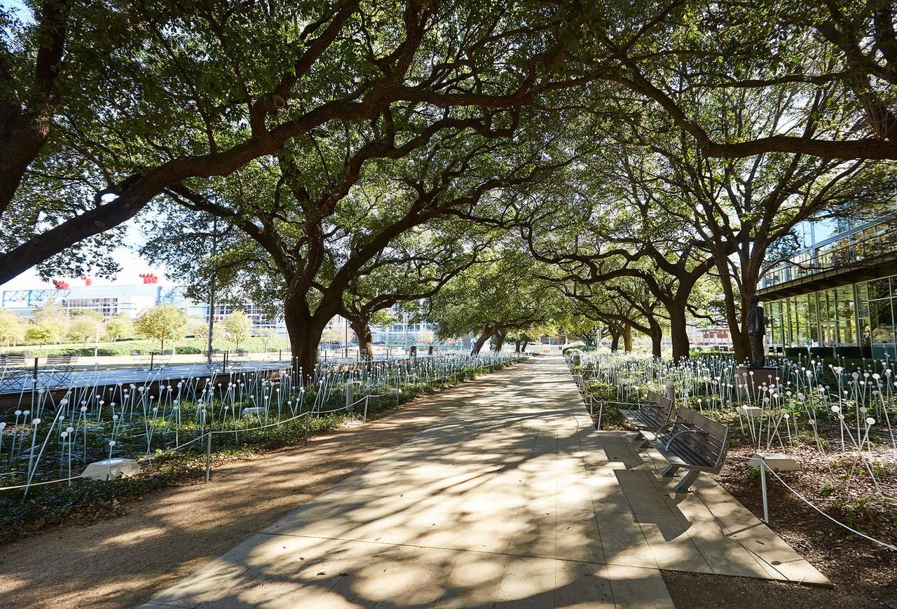 1801 Smith St #0302 - Photo 5 of 8