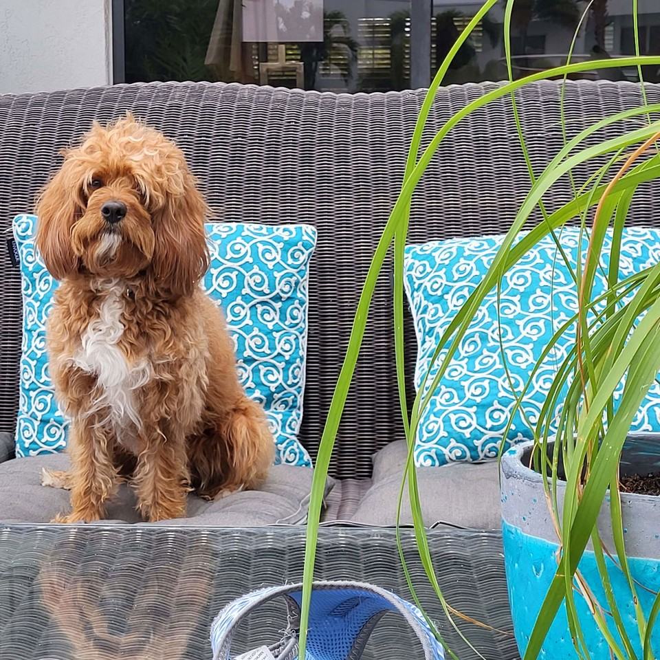 5700 Ne 20th Ave - Photo 2 of 8