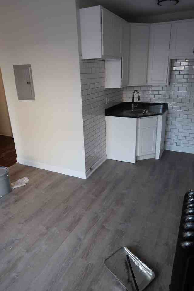 1702 W Albion Ave #1N - Photo 2 of 8