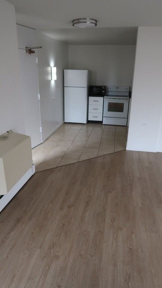 55 W Chestnut St #2402 - Photo 4 of 8