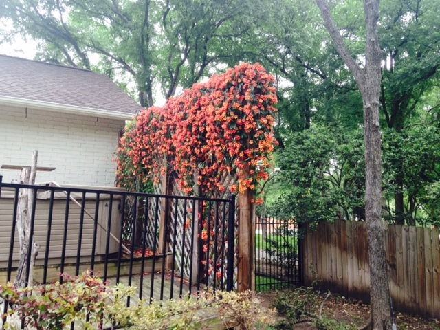 2604 Rollingwood Dr - Photo 3 of 8