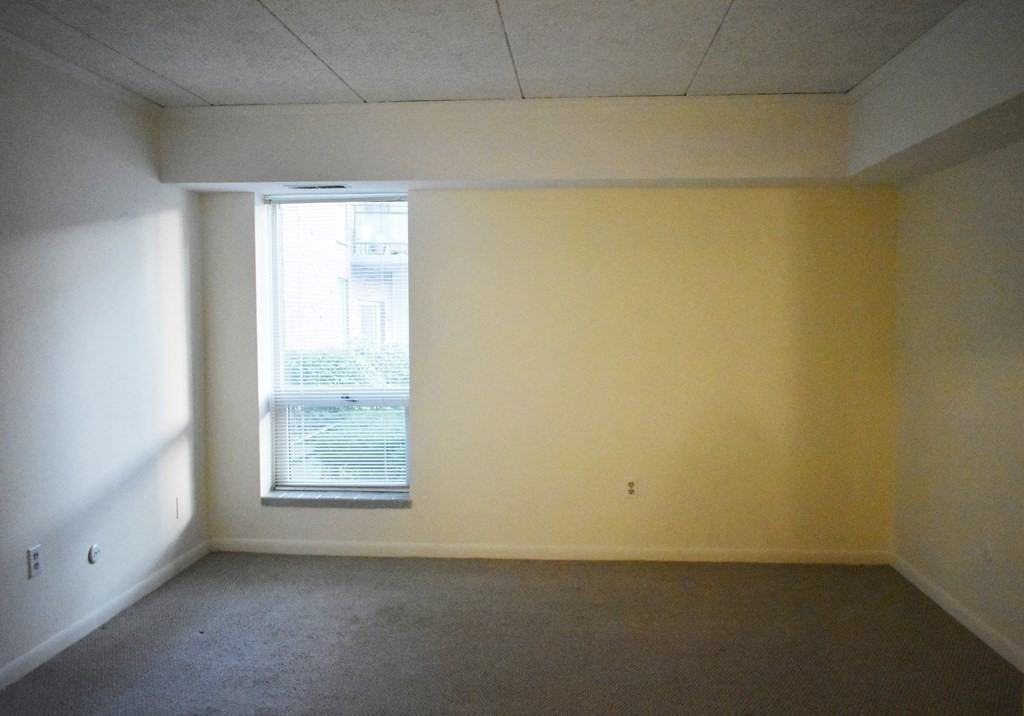 58 Broadlawn Park #17 - Photo 4 of 13