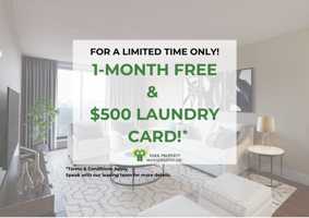 featured image of 383 Albert St