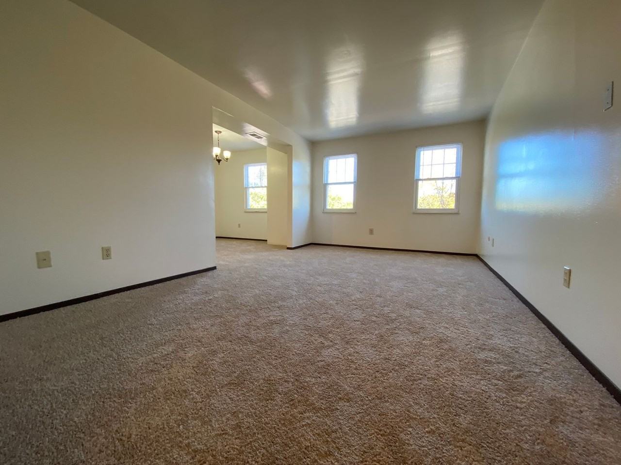 506 Bellwood Dr - Photo 2 of 10