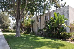 Pinnacle Amapola LLC - Photo 1 of 1