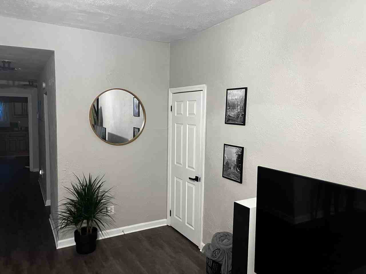 14 Jacksonia St - Photo 3 of 50