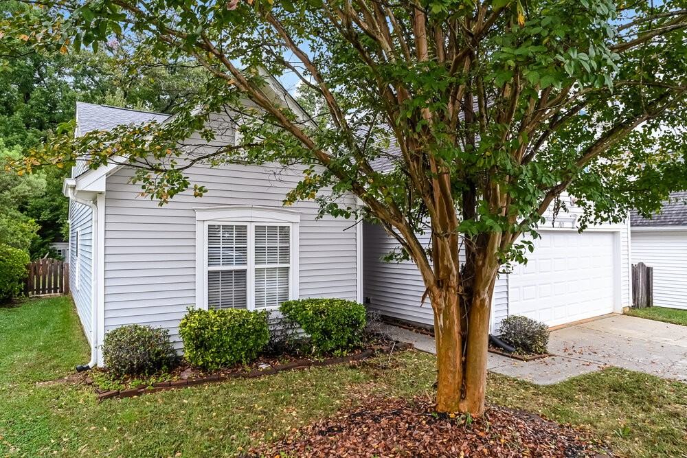 1011 Tiger Eye Ave - Photo 4 of 17