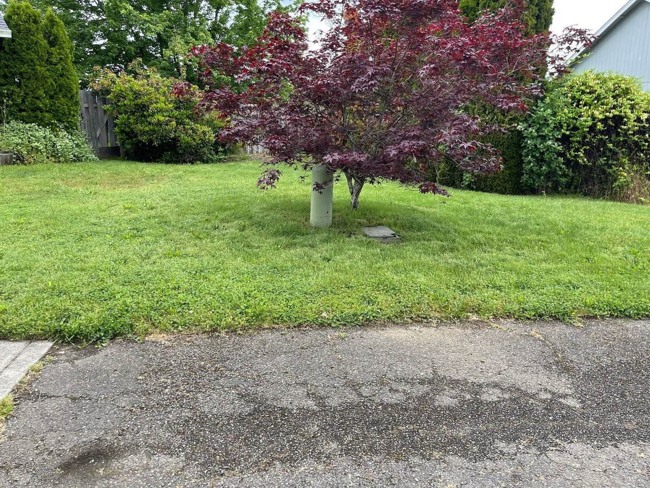 2683 Spring Ln - Photo 2 of 3