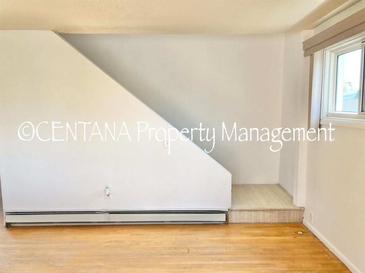 1008 W Porphyry St - Photo 5 of 42