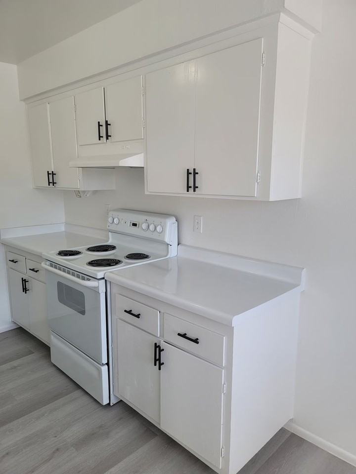 1637 Palm St - Photo 2 of 26