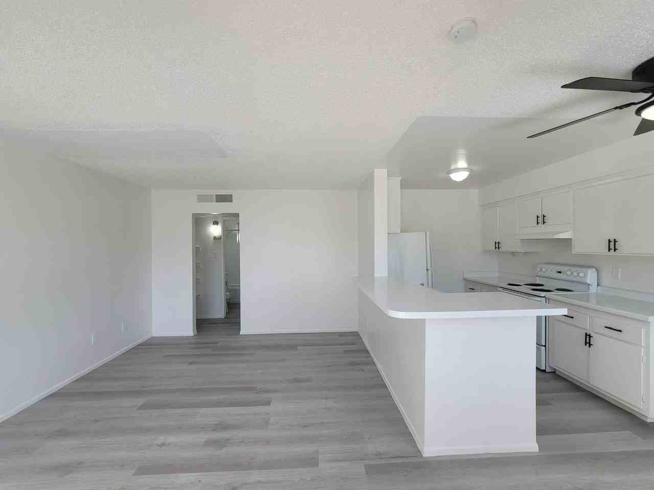 1637 Palm St - Photo 5 of 26