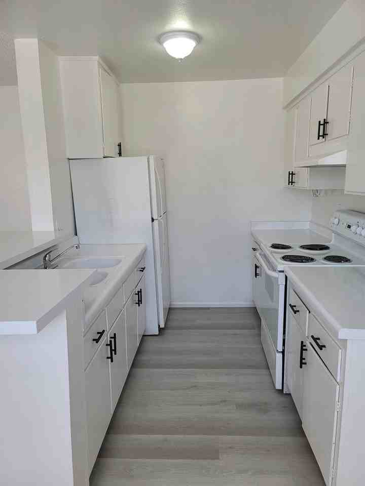 1637 Palm St - Photo 7 of 26