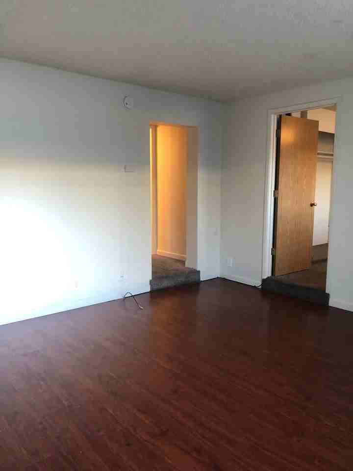 1565 Olive Ave #11 - Photo 5 of 10