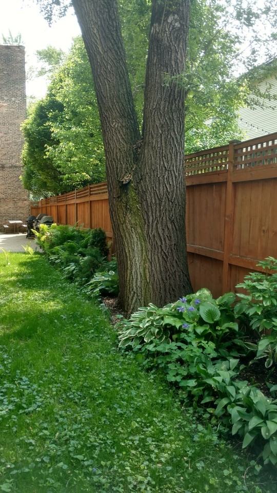 3508 N Wolcott Ave - Photo 4 of 27