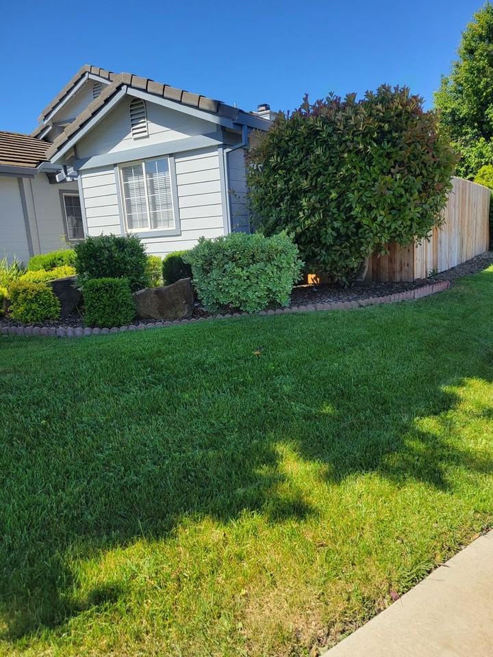 1030 Windmill Dr - Photo 3 of 32