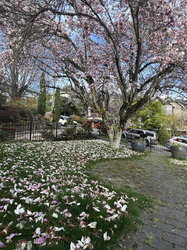 1945 9th Ave W #NA - Photo 2 of 5