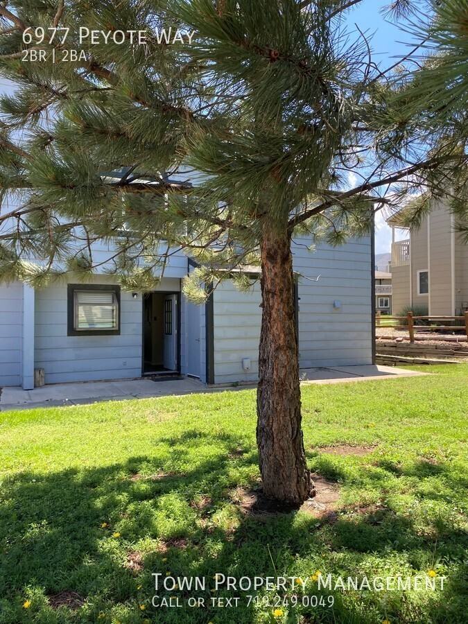 6977 Peyote Way - Photo 2 of 8