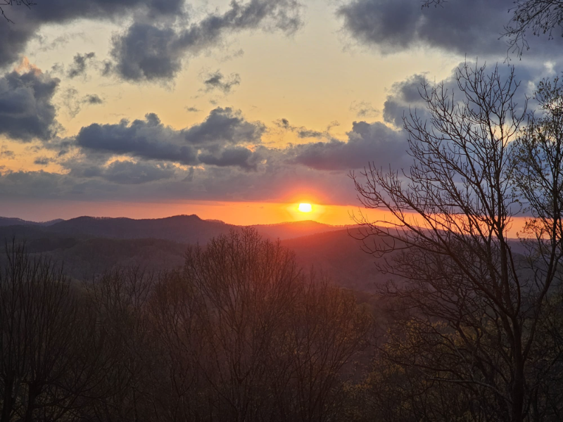 2535 El Miner Dr - Photo 5 of 50