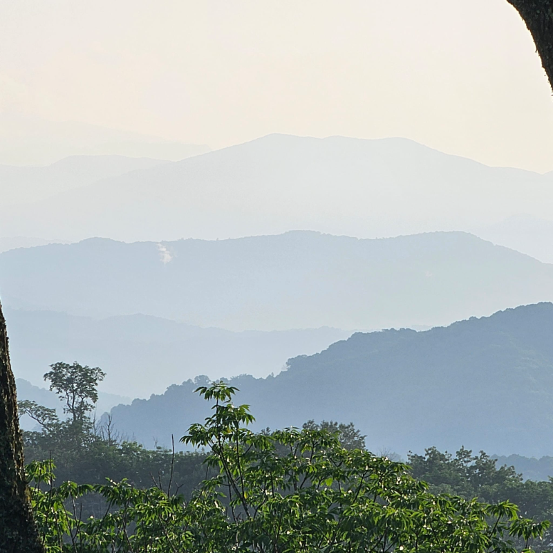 2535 El Miner Dr - Photo 6 of 50