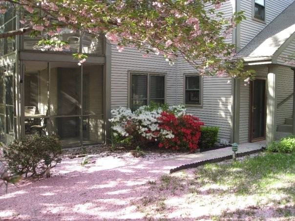 575 Roslaire Dr #NA - Photo 2 of 15