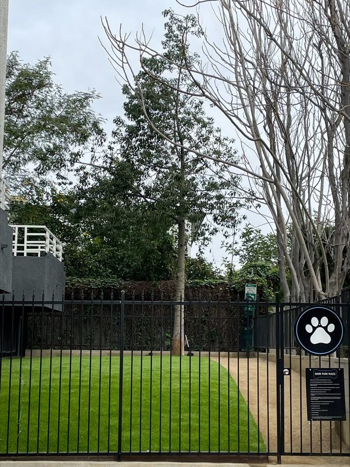 Loft Style Apartments for Rent! - Photo 4 of 22