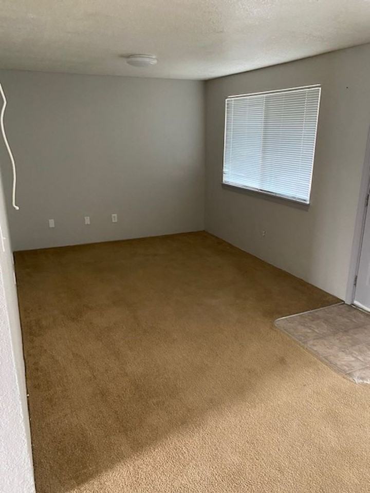 CO-0000 - Photo 4 of 5