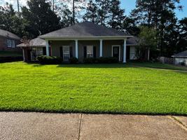 featured image of 232 Boxwood Cir