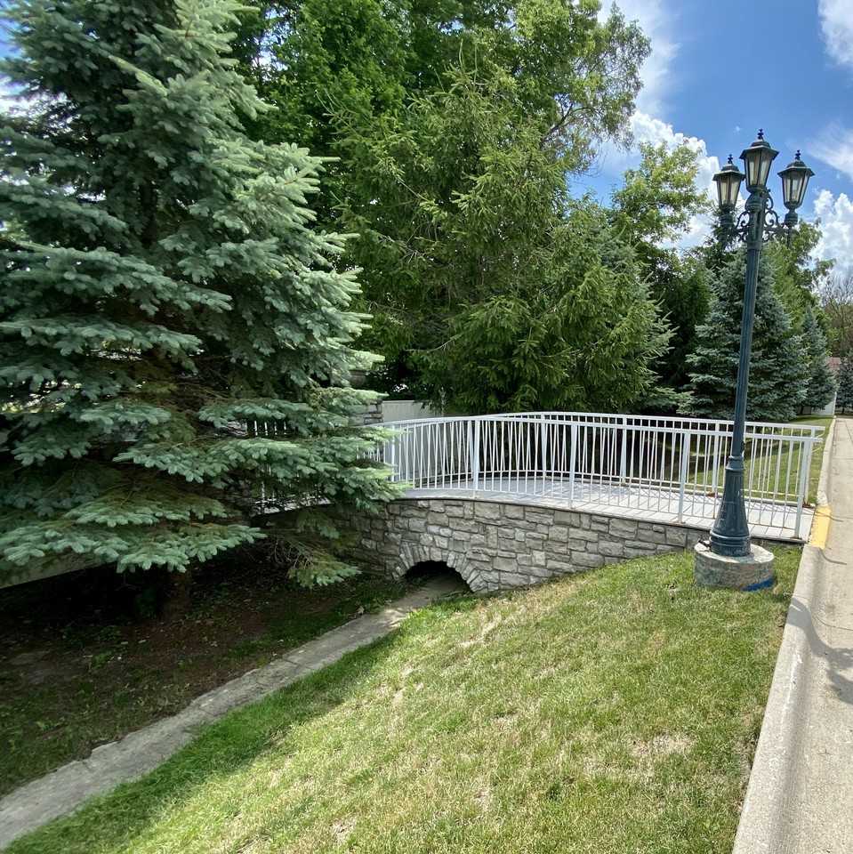 Shelly Rose - Photo 3 of 5