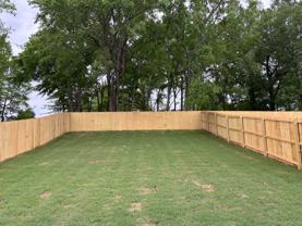 224 Blue Bird Ln #NA - Photo 1 of 1