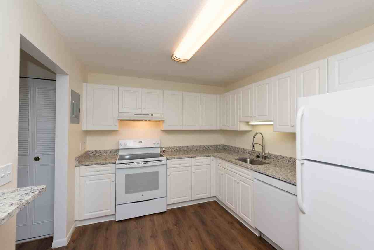 Chestnut Hill South - Photo 6 of 27