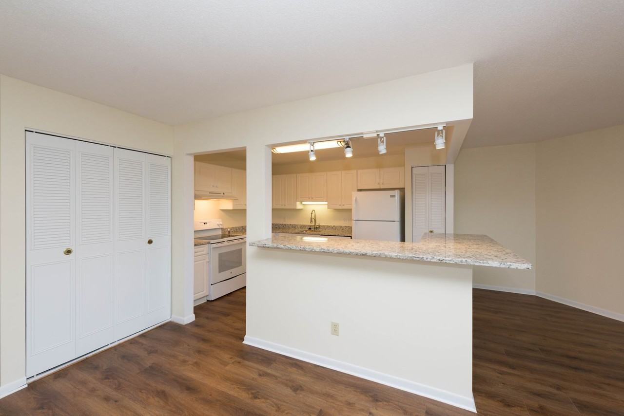 Chestnut Hill South - Photo 7 of 27