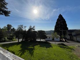 MF1419-B - Photo 1 of 1