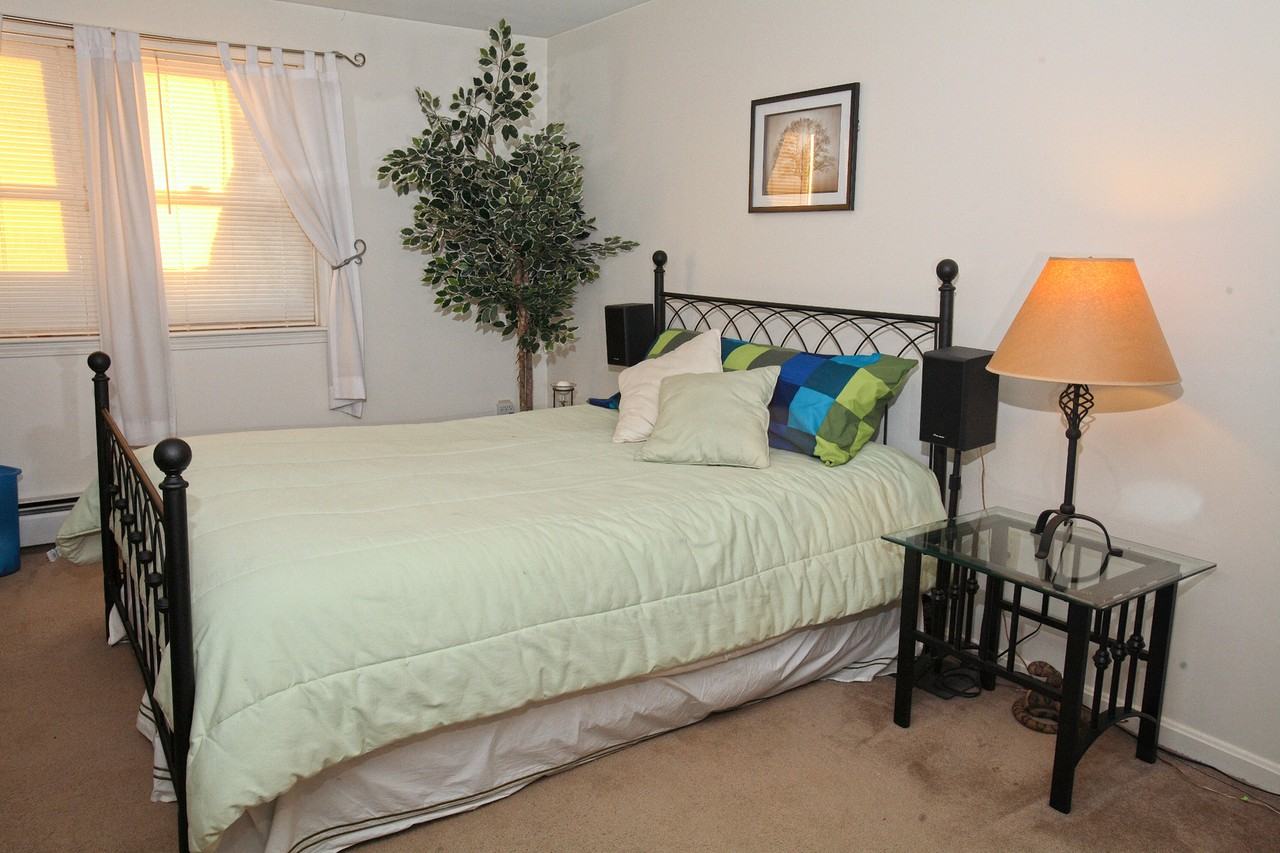 Branch River - Photo 2 of 17