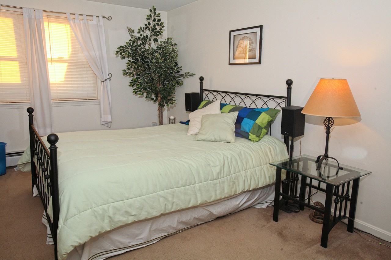 Branch River - Photo 4 of 9