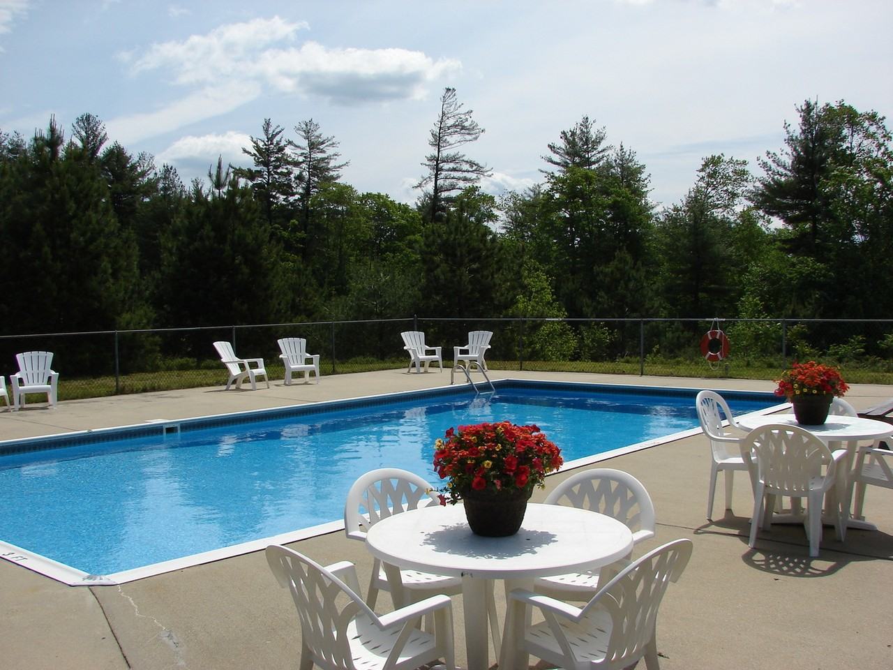 Branch River - Photo 5 of 9