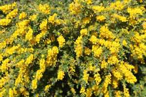 featured image of 35109 California Highway 79